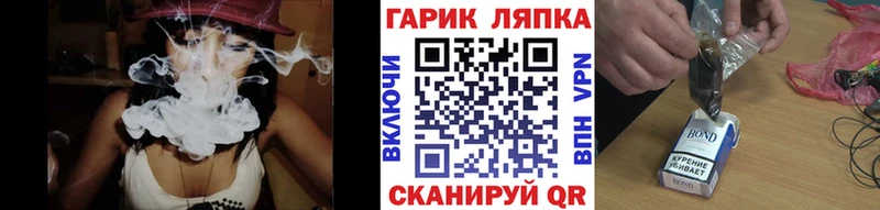 Купить где  Петухово  Гашиш Изолятор 