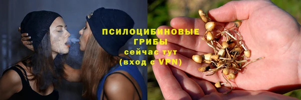 бутират Богородицк