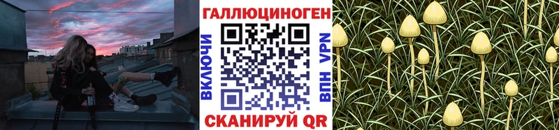 Галлюциногенные грибы Magic Shrooms  Купить закладки  Петухово 